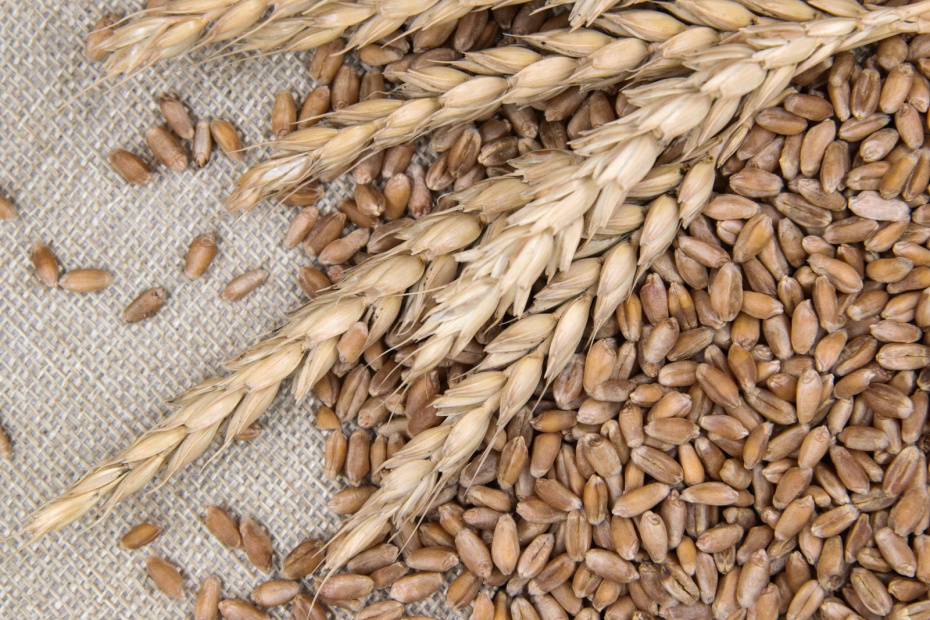    Сергей Петров/NEWS.ru