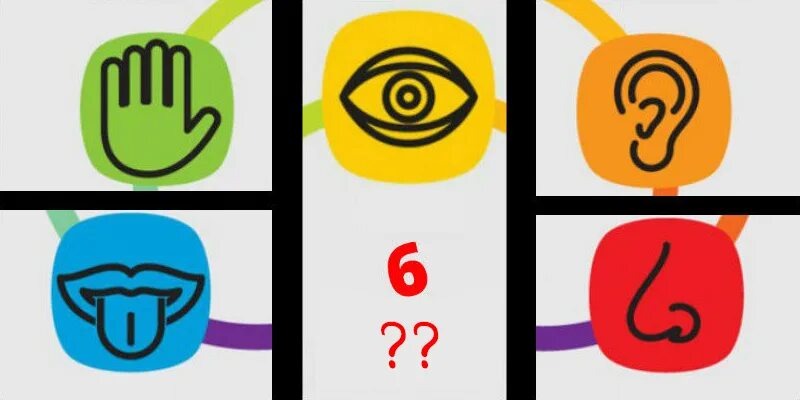 Пять чувств – не предел: научно доказано, что человек обладает шестым чувством