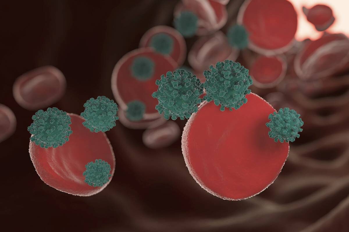 Фото freepik.com