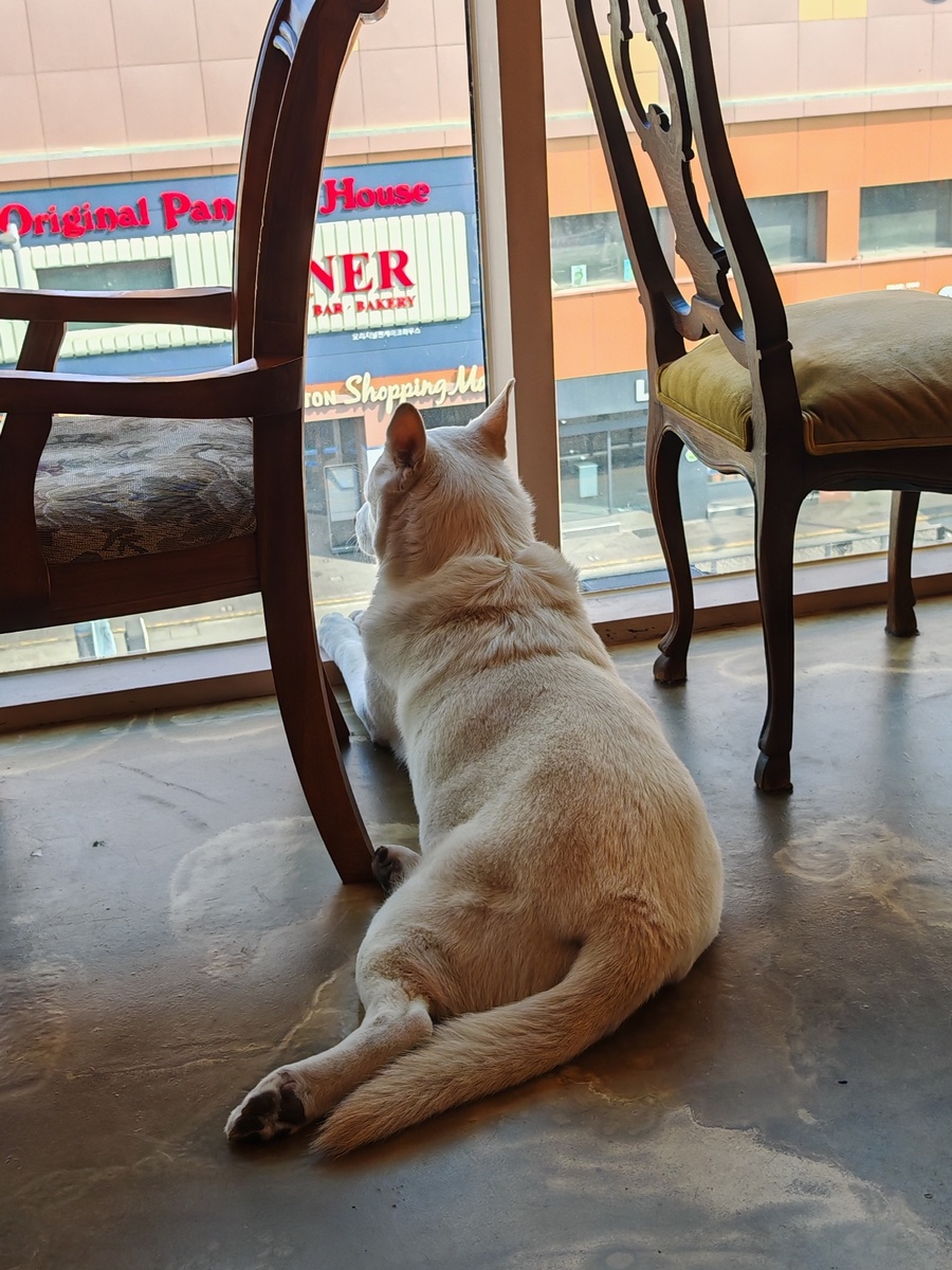 Мечтает о панкейках у конкурентов