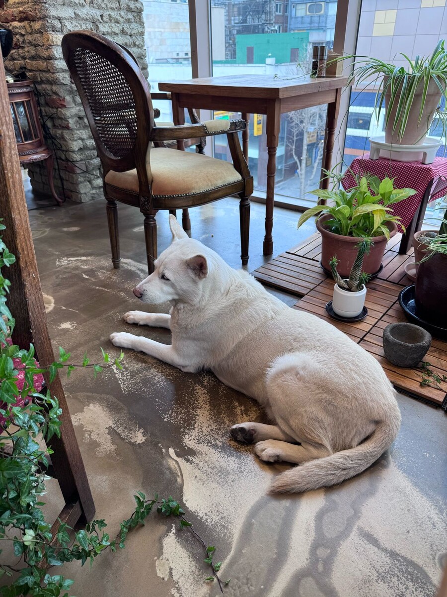 Составляет компанию за завтраком