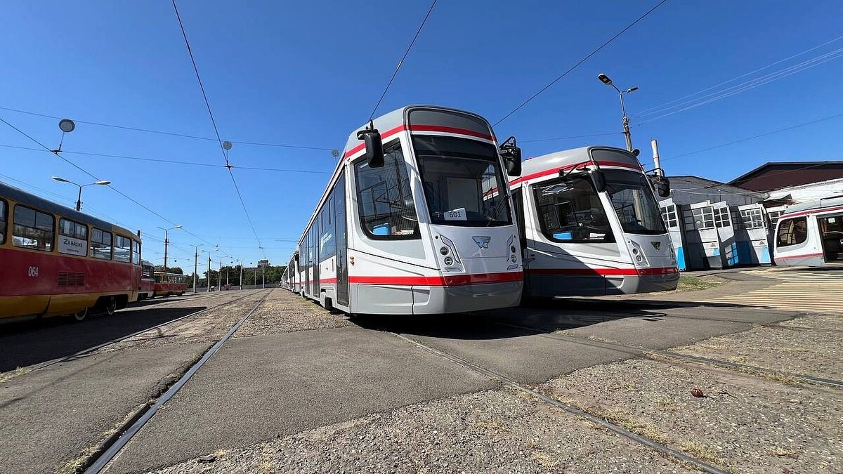    Фото: телеканал «Краснодар»