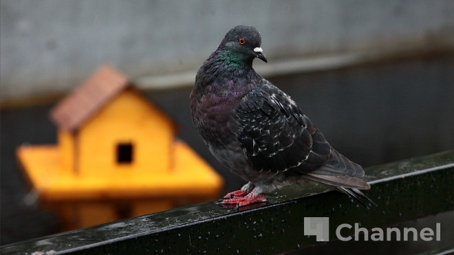 Фото: Анастасия Илюшина/47channel, архив