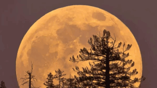    Лаборатория солнечной астрономии ИКИ РАН Юлия Виноградова