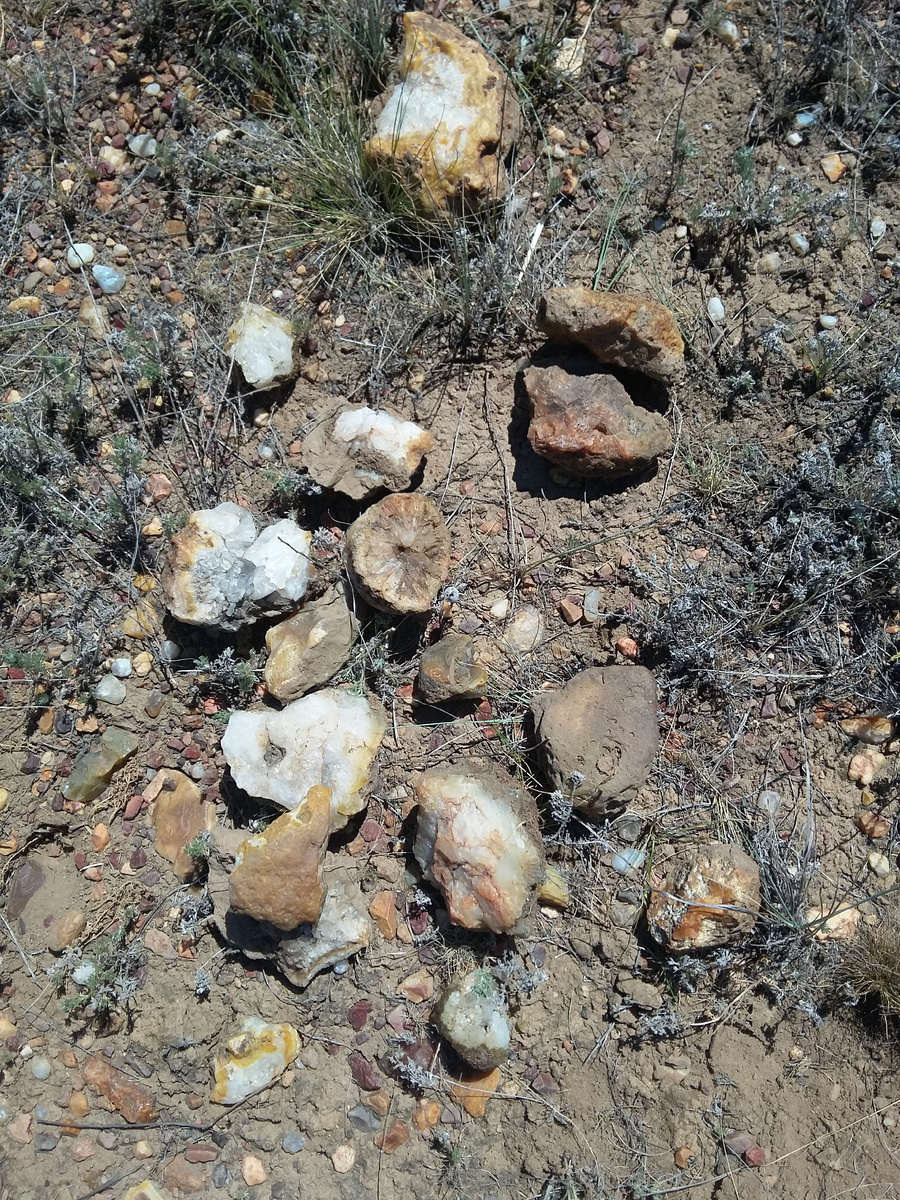 Те самые жеоды