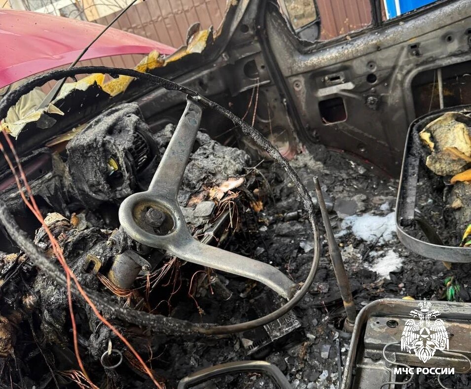    Фото: МЧС по Костромской области