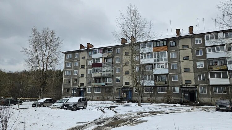 Лес находится в двух шагах от дома убийцы. Фото: Николай Оберемченко