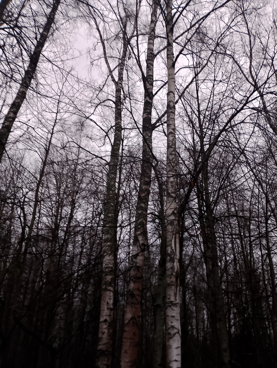 личное фото.