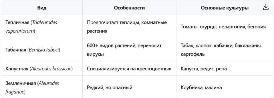 Основные виды