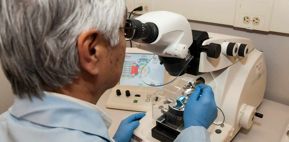 Фото: National Cancer Institute/Unsplash