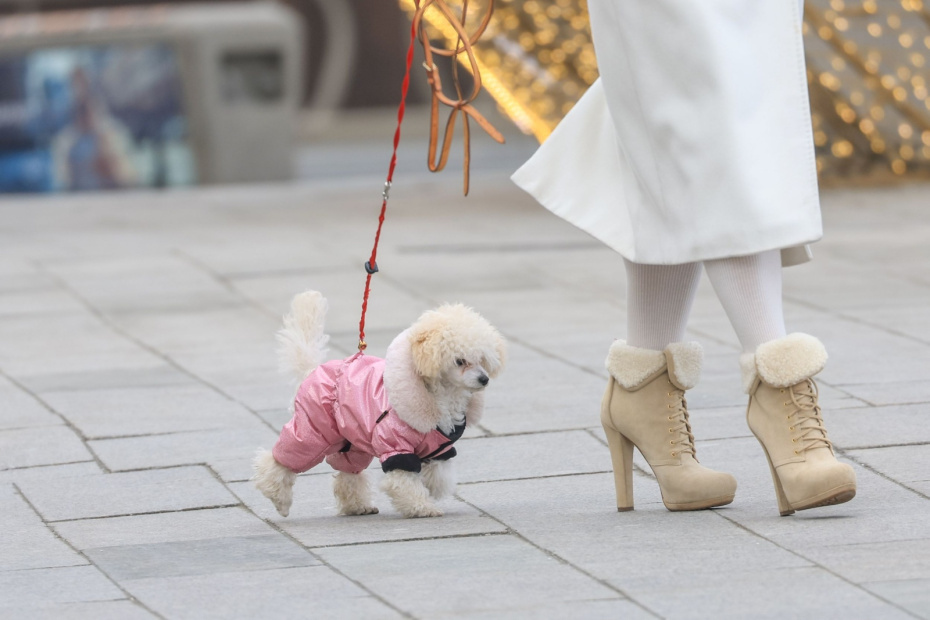    Наталья Шатохина/NEWS.ru