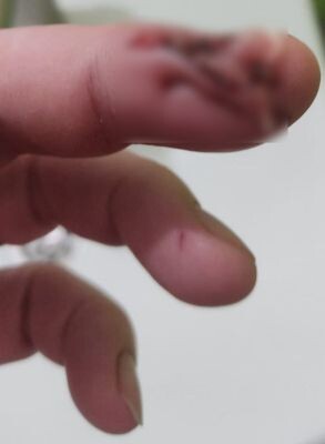    Фото: читатель «МОЁ!»