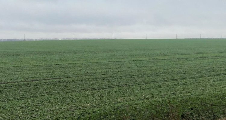    Фото: Служба по связям с общественностью филиала «Донецкий» Российского сельскохозяйственного центра