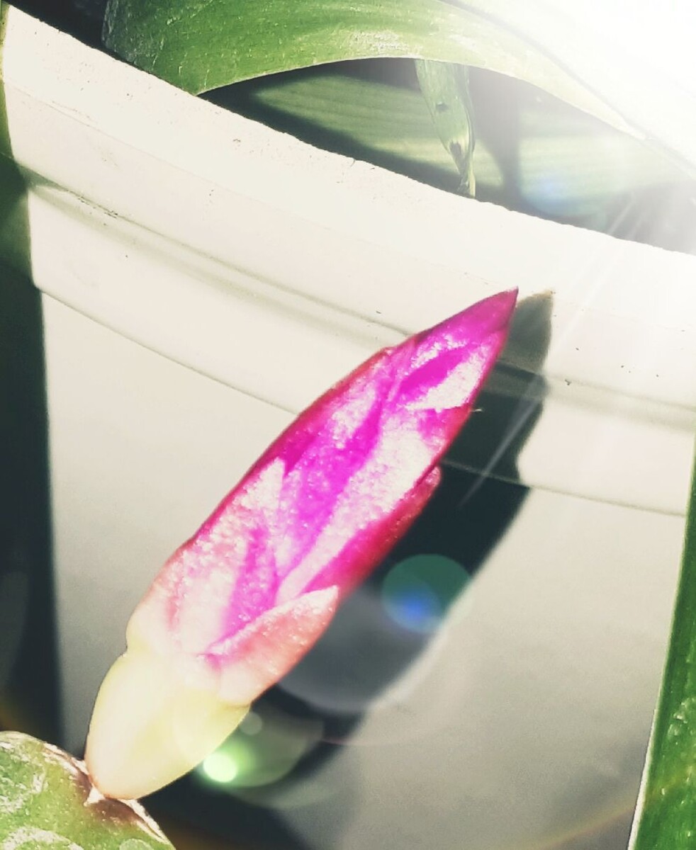 Фото автора статьи 02.12.2025г.