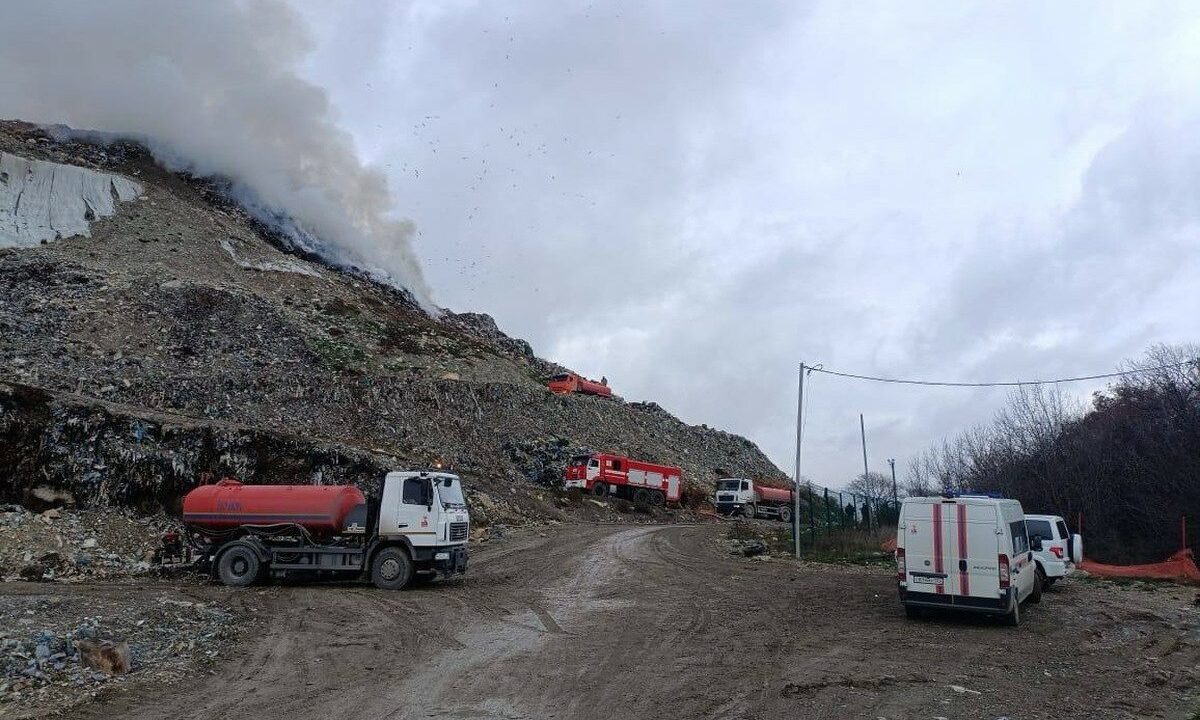    Фото t.me/Gavrikovzam