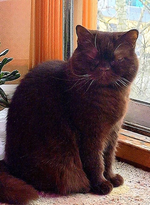 Как же мне здесь заМУРчательно!