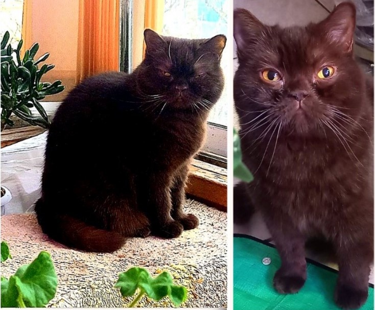 Всем привет!