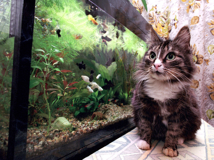     Фото: Наталия Губернаторова