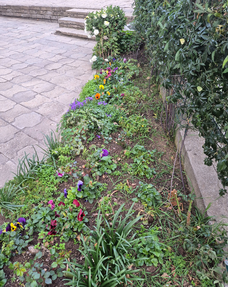 Фото с почти летними красками из Габрова на память перед отъездом.