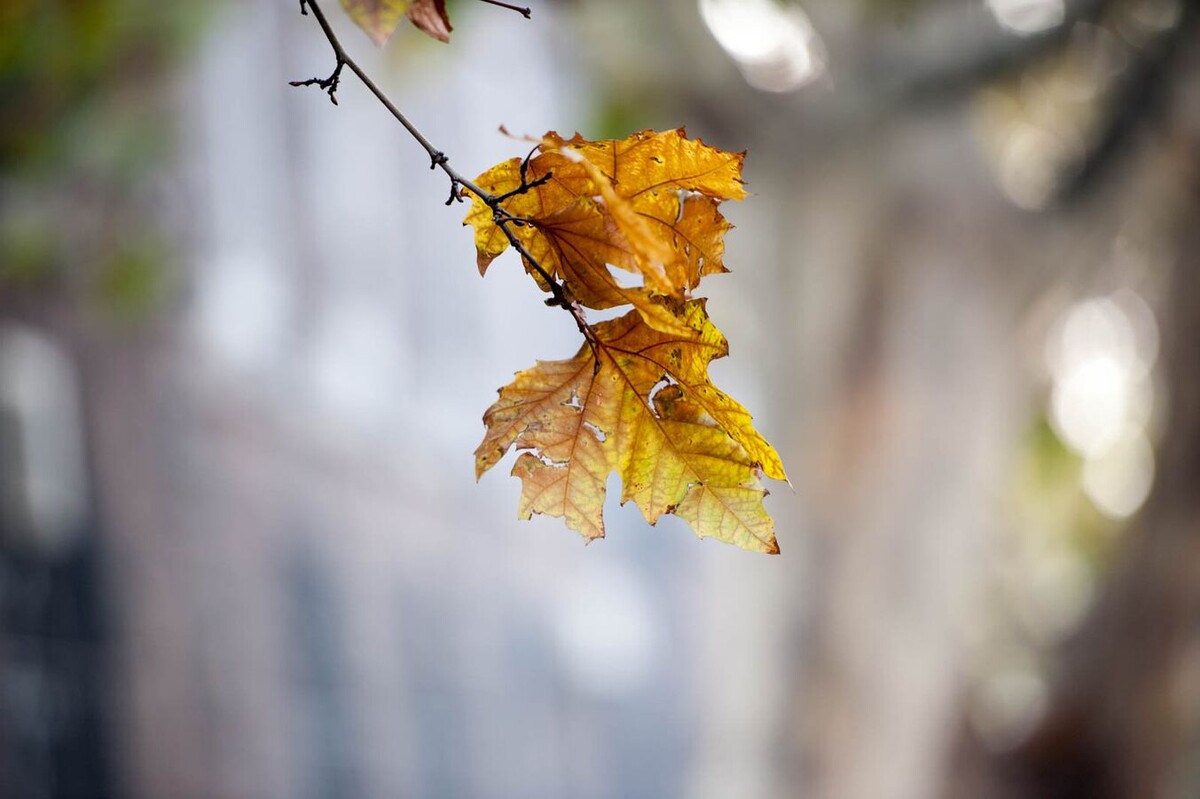 © Sputnik / Aram Nersesyan