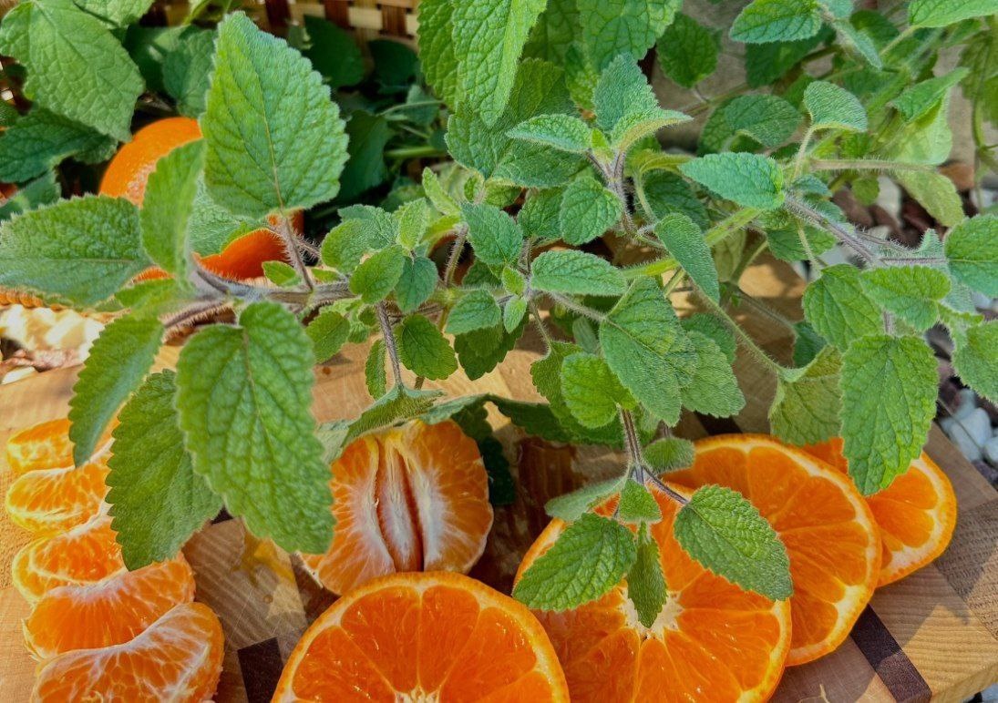 Фото Юлины Салуевой