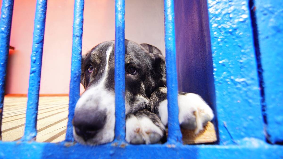    Фото: Артем Соболев / Вечерняя Москва