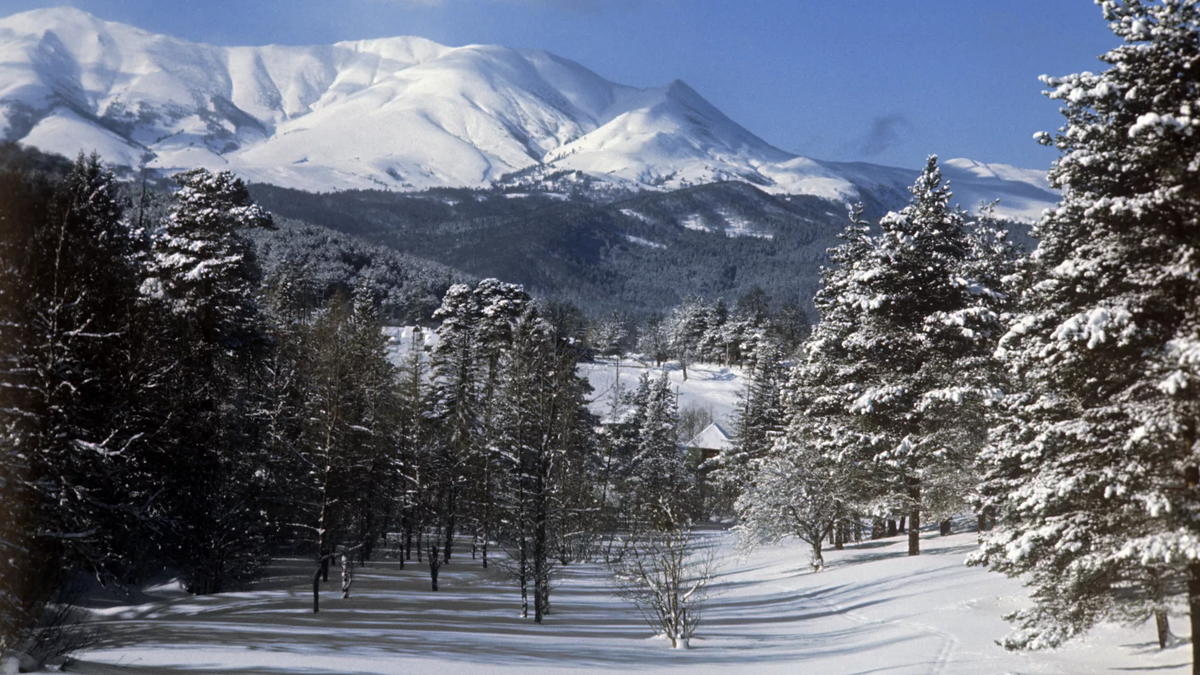 © photo: Sputnik / Roman Denisov