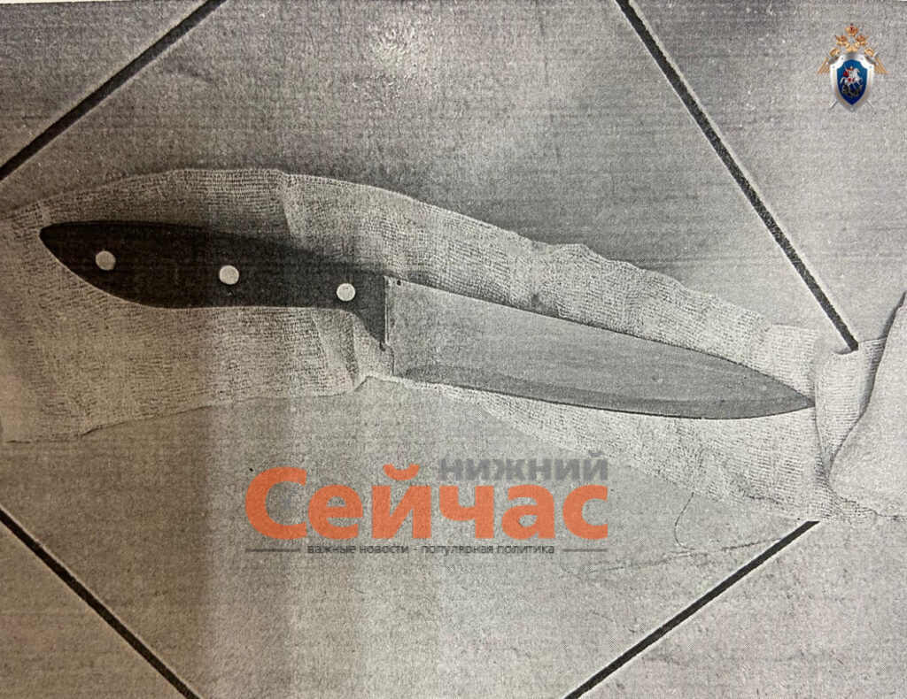    Фото: СУ СК России по Нижегородской области Редакция nn-now