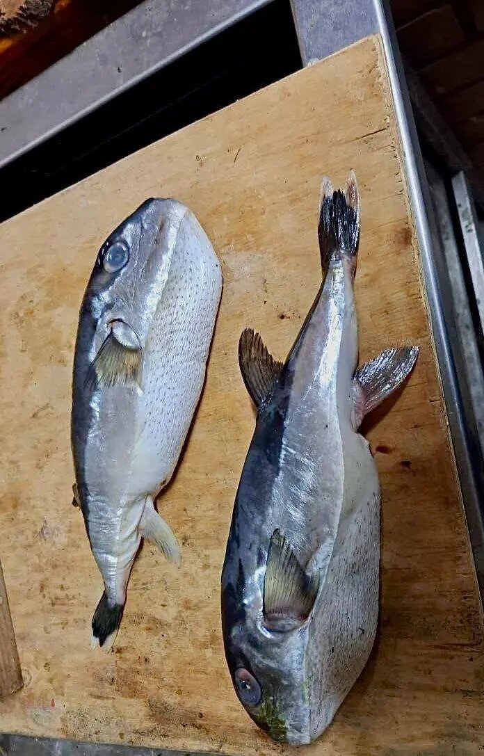    Фото: пресс-служба прокуратуры Краснодарского края