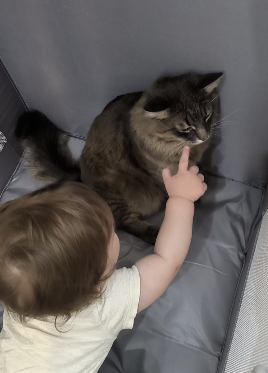 Фотографии в статье авторские