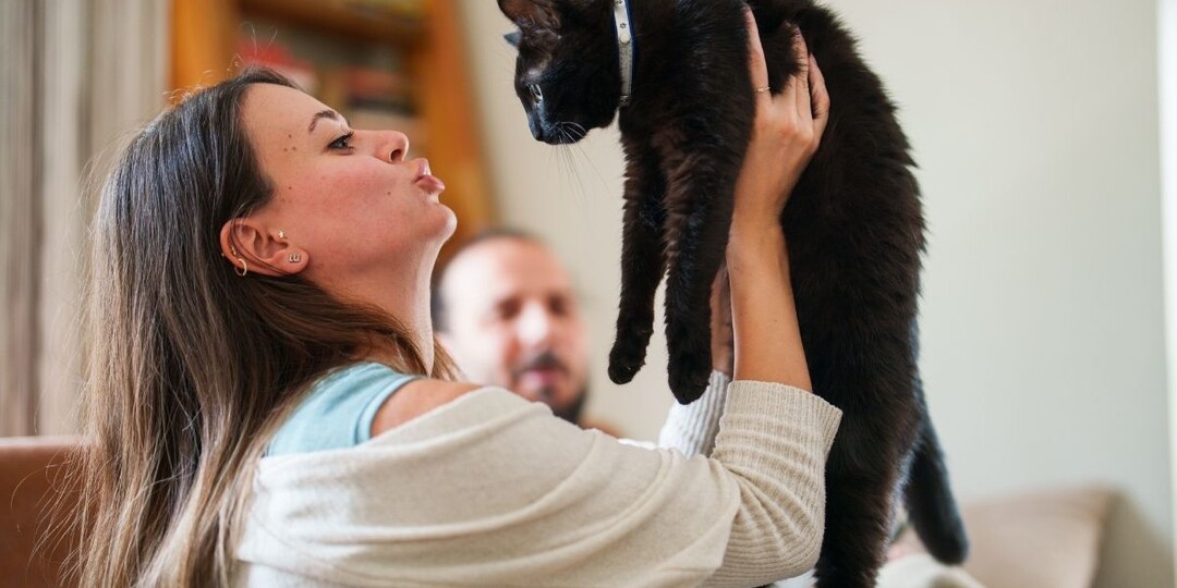 Можно ли перелюбить кота? Знаки, что вы делаете ему больно своей «любовью»