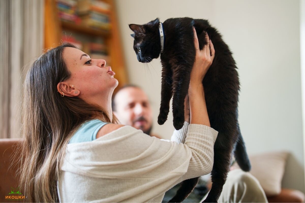 Можно ли перелюбить кота