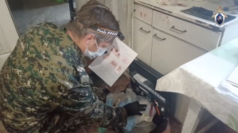    Кадр: видео СК РФ