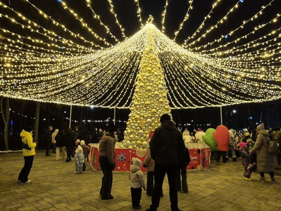    Фото: пресс-служба администрации г.о. Дубна