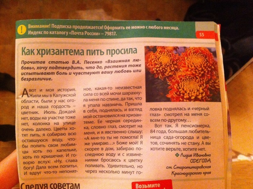 Фото из интернета