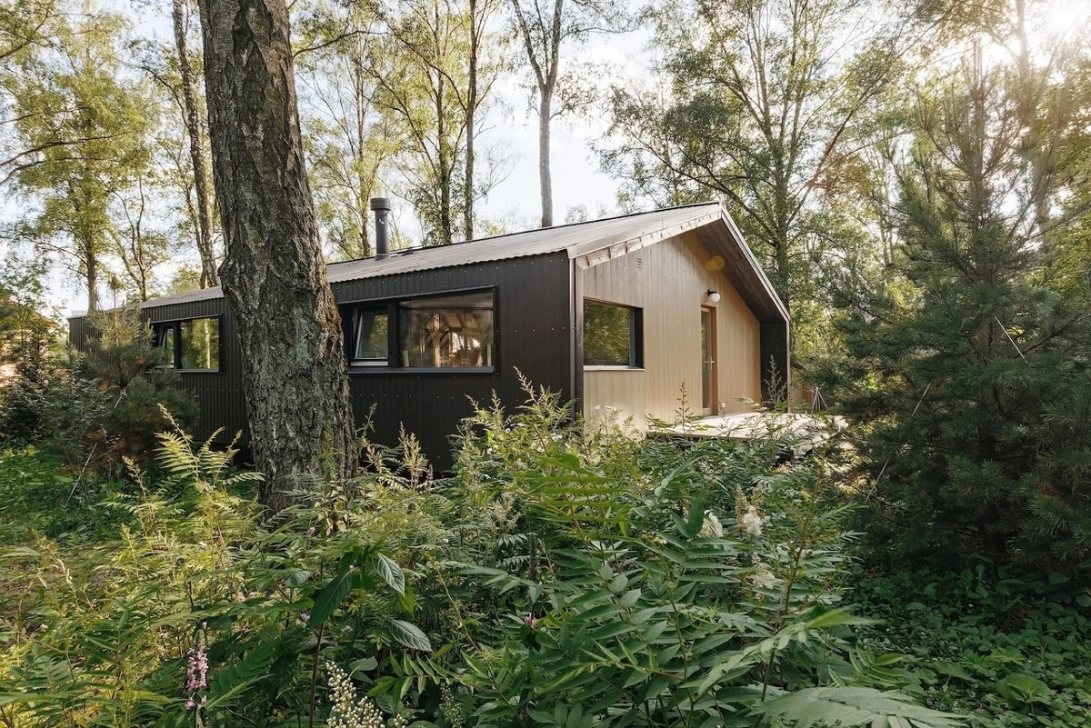 Дом «Каштан», иллюстрация с сайта dubldom.ru