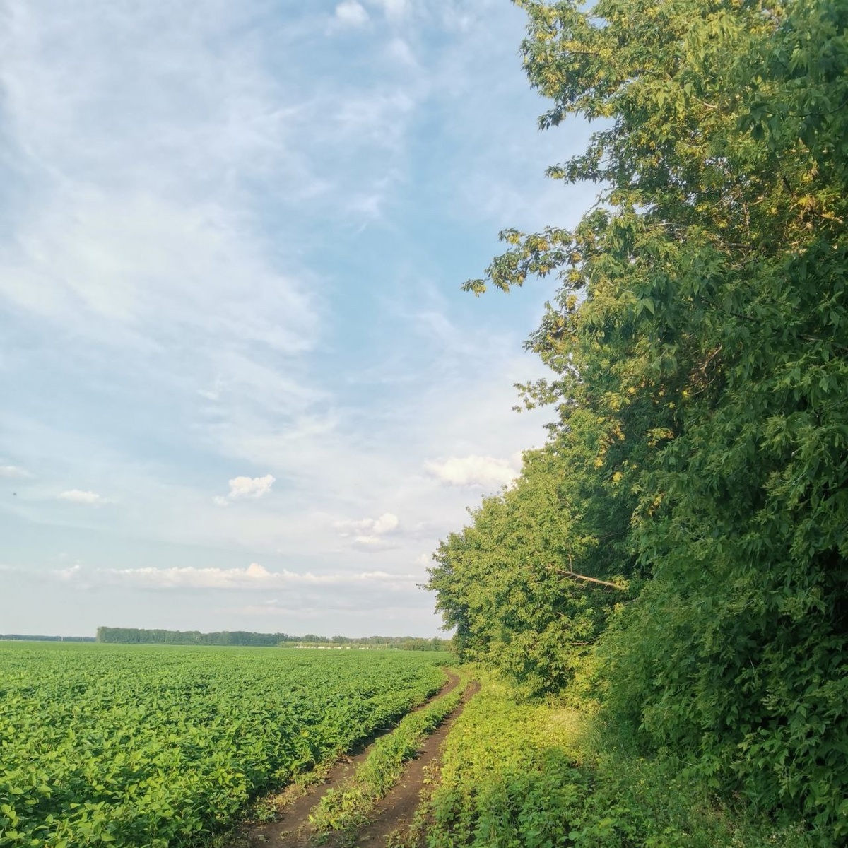    Фото: Анастасия Максименко