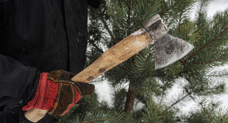    РИА «Новости»