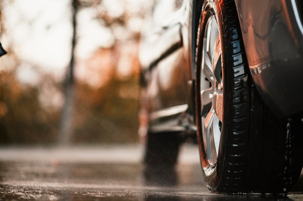 Фото: freepik.com  📷
