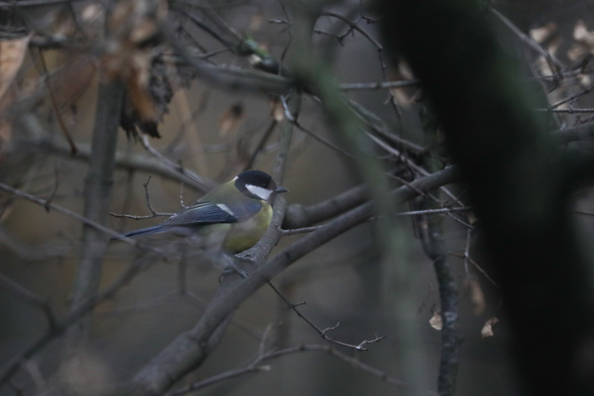 Фото: Александр Глуз

