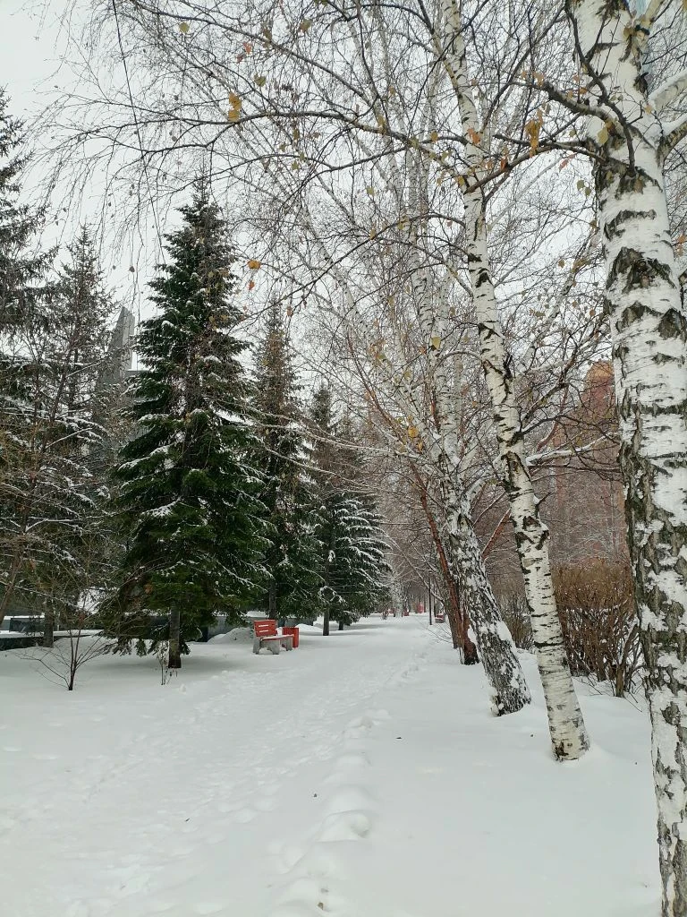 Фото автора. Настоящее, даже без ретуши. 