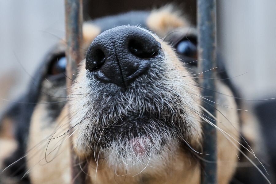     / Источник: © Дмитрий Ягодкин/ТАСС