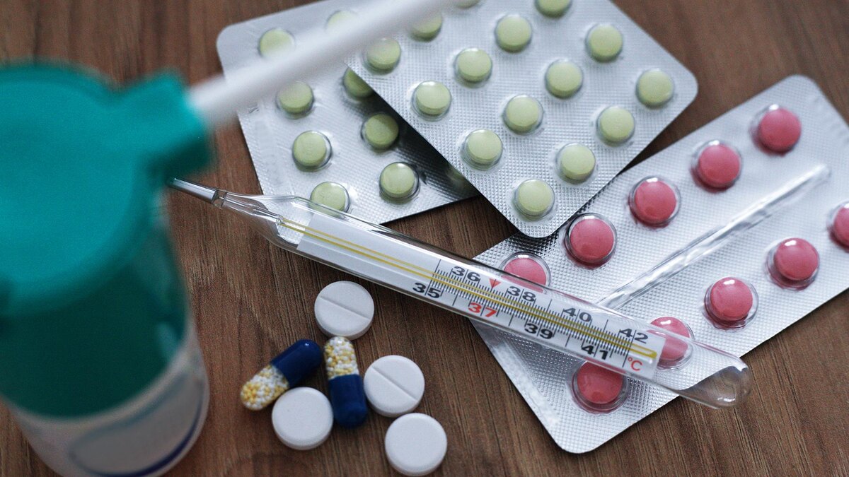    Фото: ИЗВЕСТИЯ/Юлия Майорова