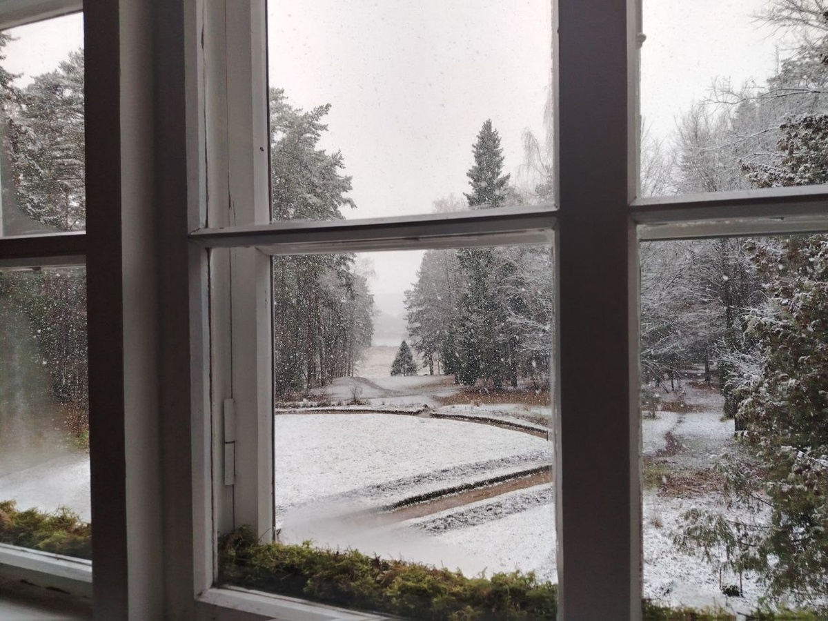 Вид из окна усадьбы, в качестве утеплителя - зеленый мох)