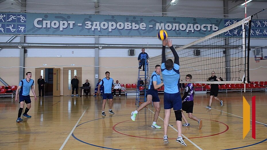    Автор фото: Елена Шелякина (из архива)