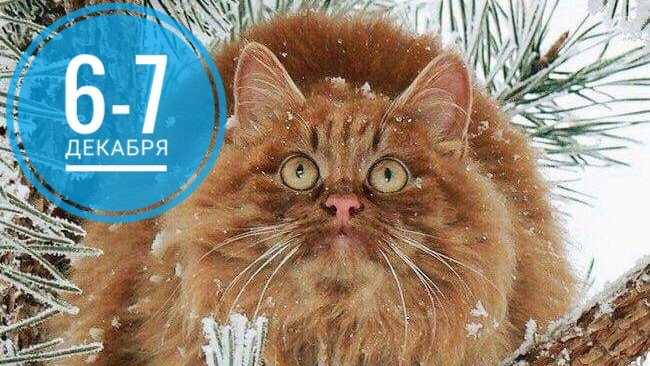 Нумерологический прогноз на первые выходные декабря