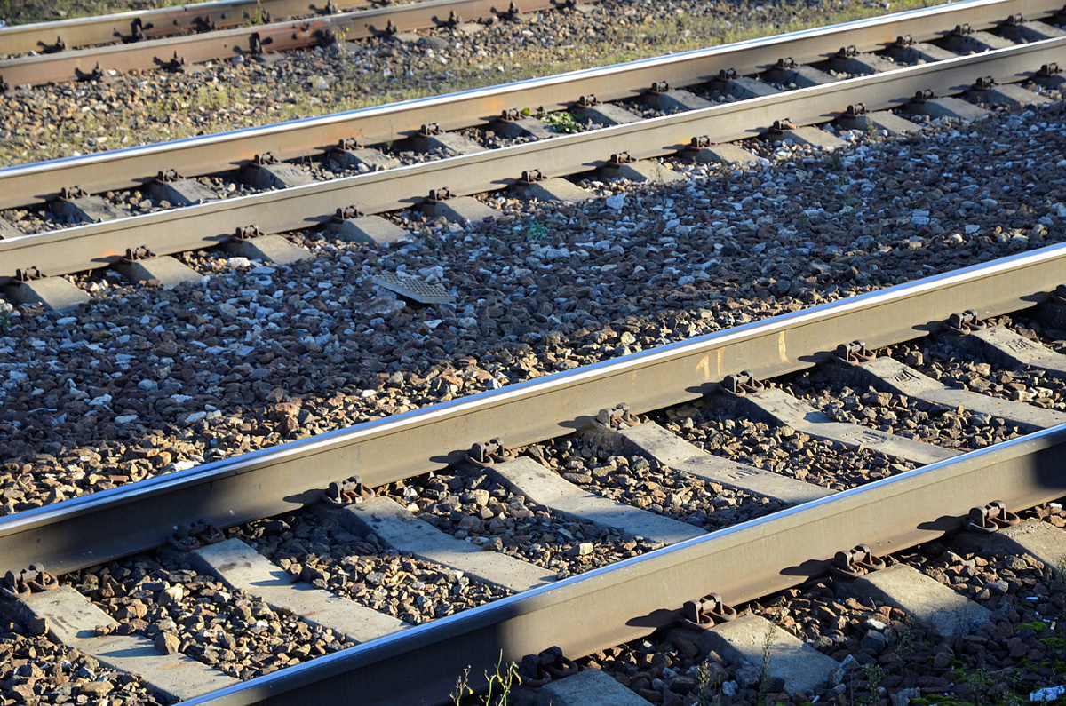 Фото: Анна Быкова, «Вечерняя Москва»