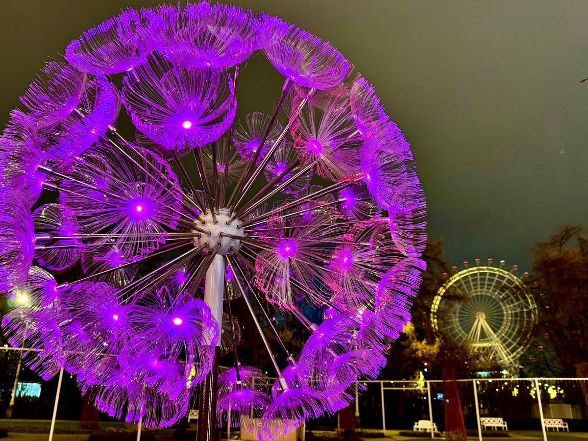 Комбо-билеты на колесо обозрения ВДНХ