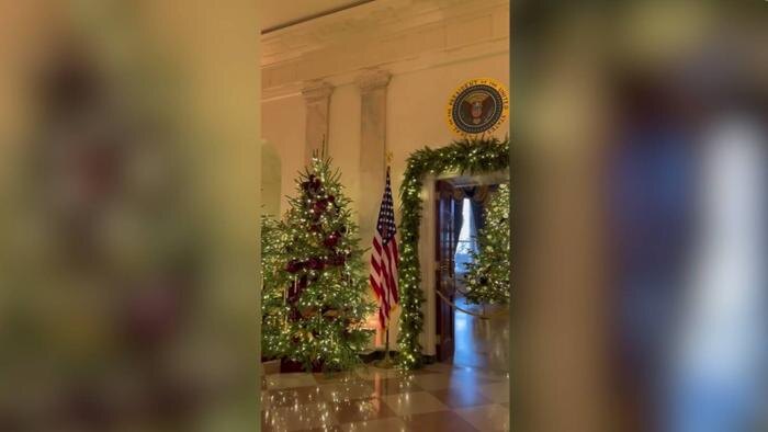 Обложка © X / The Conservateur