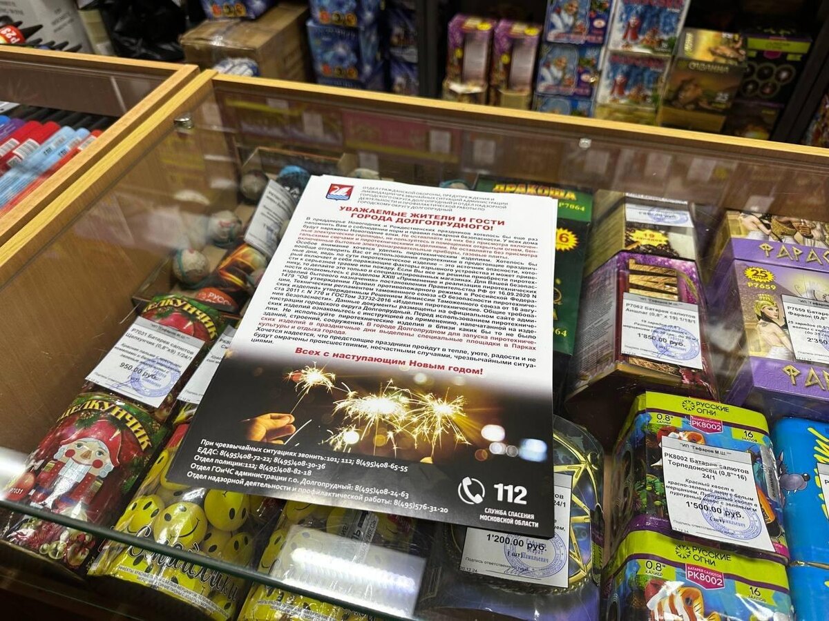     Фото: пресс-служба администрации г.о. Долгопрудный